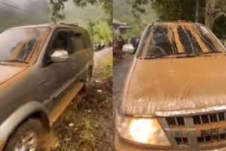 Video Viral Panther di Aceh Bisa Menyala Pasca Terendam Banjir 10 Jam, Begini Penjelasannya Menurut Teknisi
