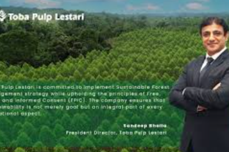 PT. Toba Pulp Lestari Milik Siapa? Sejarah Singkat Pabrik Produksi Bubuk Kertas yang Sedang Banyak Dibicarakan