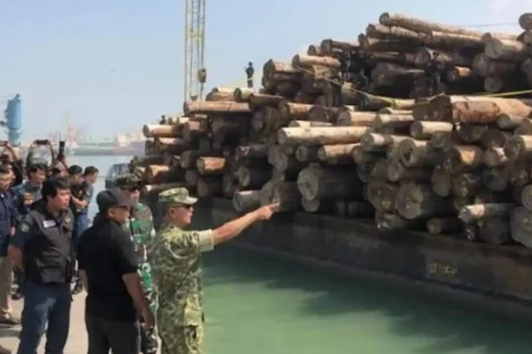 Profil PT Minas Pagai Lumber dan Legalitasnya, Kantongi Izin Usaha Pemanfaatan Kehutanan Hingga 22 Hektar Lebih