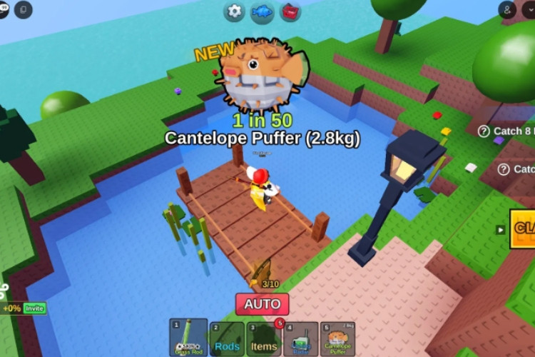 Lokasi Cantaloupe Puffer Fish It, Ikan Unik yang Curi Perhatian Penggemar Roblox
