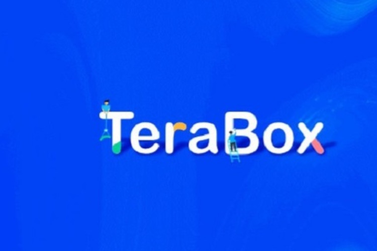 Penyebab Terabox Login Error dan Cara Mengatasinya, Nggak Perlu Instal Ulang Cukup Lakukan Ini!