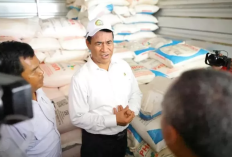 PT Multazam Sabang Group Impor Beras Ilegal, Mentan Amran Tindak Tegas Pemiliknya!