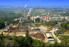 Kasus PT TPL Memanas, Bobby Nasution Rekomendasikan Tutup Permanen Perusahaan