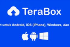 Terabox Error? Begini Solusi Terpercaya Ketika Tidak Bisa Dibuka di Android & iPhone