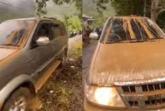Video Viral Panther di Aceh Bisa Menyala Pasca Terendam Banjir 10 Jam, Begini Penjelasannya Menurut Teknisi