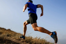 Jadwal Event The Ultimate 10K Series Siap Digelar di Bandung, Surabaya, Tangerang, Hingga Semarang Bank BJB  Hadirkan Akses Eksklusif