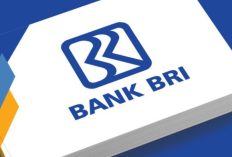 UPDATE Tabel Angsuran KUR BRI Desember 2025, Dilengkapi Persyaratan dan Cara Mengajukannya