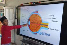 Cara Cek Apakah Sekolahmu Dapat Papan Interaktif Digital Dari Pemerintah Lengkap Dengan Syaratnya: CATAT Sekarang Juga