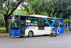 Peringatan Hari Transportasi Nasional 2026: Indonesia Dikabarkan Akan Fokus pada Transportasi Publik Gratis dan Listrik