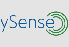 Apakah ySense Terbukti Membayar? Simak Ulasan Lengkap Pengguna & Cara Kerjanya!