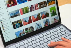 Daftar Harga MacBook Neo 2026 Update Terbaru: Laptop Termurah Apple Resmi Dirilis dengan Chip A18 Pro