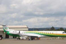 Pemilik PT IMIP Morowali Siapa? Diduga Beroperasi Secara Ilegal jadi Sorotan Menhan