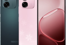 Ponsel Tangguh Baterai Badak! Review OPPO A6s 4G, HP Kelas Menengah Tangguh dengan Sertifikasi IP69