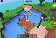 Lokasi Cantaloupe Puffer Fish It, Ikan Unik yang Curi Perhatian Penggemar Roblox